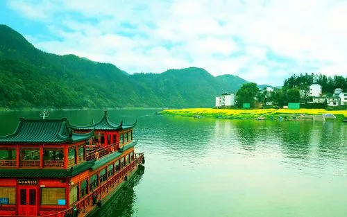 创新高质量创新